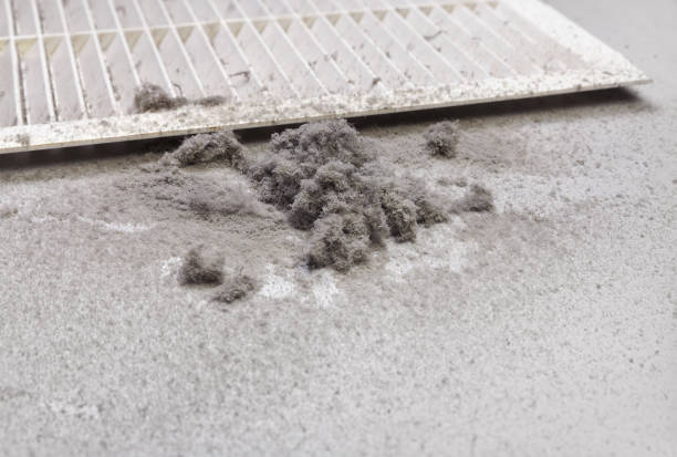 Best Affordable Duct Cleaning Services  in Everett, PA