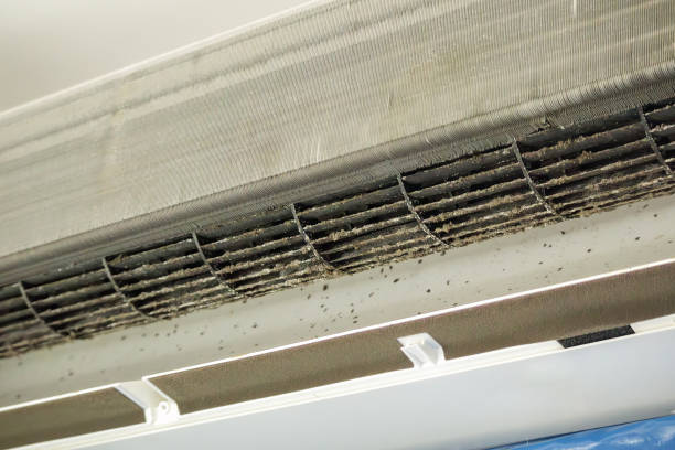 Best Residential Air Duct Cleaning  in Everett, PA